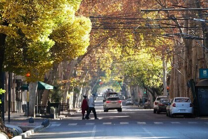 Explore Argentina's Culture and History Walking Tour