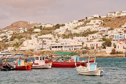 Mykonos Private Tour Local Edition