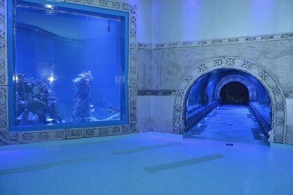 Hurghada Grand Aquarium Entrance Tour