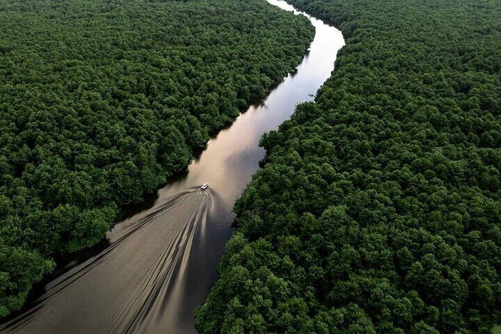 Discover the Georgian Amazon – Tour from Batumi