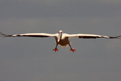 3-Day Arba Minch and the Rift Valley Lakes