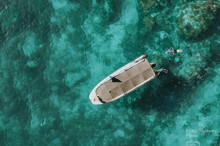 Coromandel Adventure and Wildlife Boat Tour to Aldermen Islands 