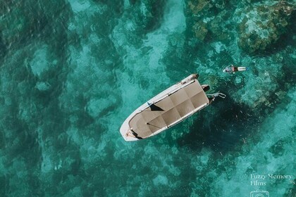 Coromandel Adventure and Wildlife Boat Tour to Aldermen Islands