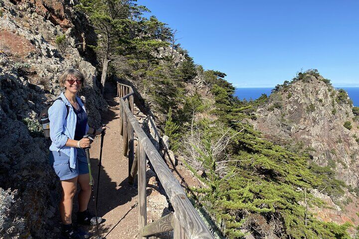 High walk in the trees