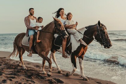 Private Evening Horse Ride on the Beach