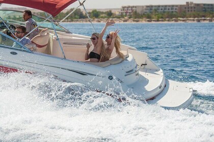 Private Speedboat 1 Hour & Parasailing W/Transfer-Sharm El Sheikh