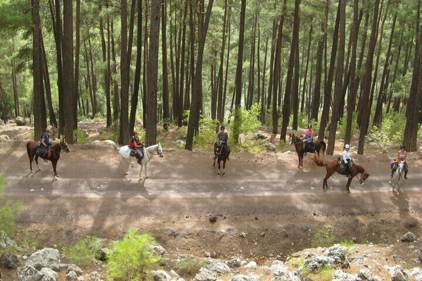 Bodrum Horse Safari