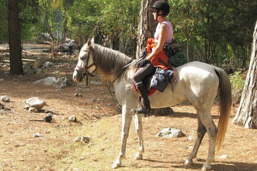 Bodrum Horse Safari