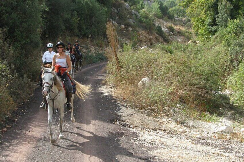 Bodrum Horse Safari