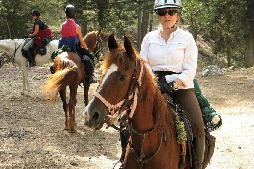 Bodrum Horse Safari