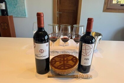 Private tour Almaviva and Concha y Toro wineries