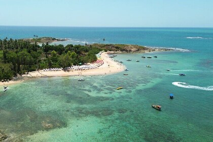 St. Aleixo Island and Day Use on LUP