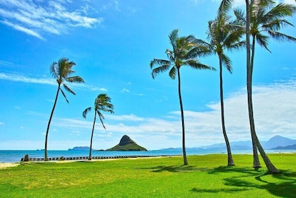 Private 5-Hour Driving Tour of Oahu’s Highlights
