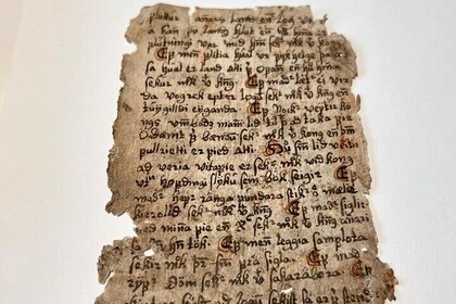 Old Icelandic Books Experience