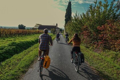 Saint Emilion Wine Tour by E-Bike- Bordeaux Pick up and drop off