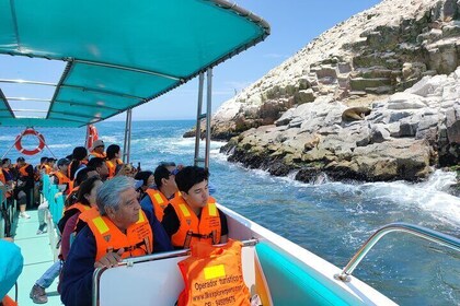 DE Paracas and Huacachina Premium Day Trip from Lima