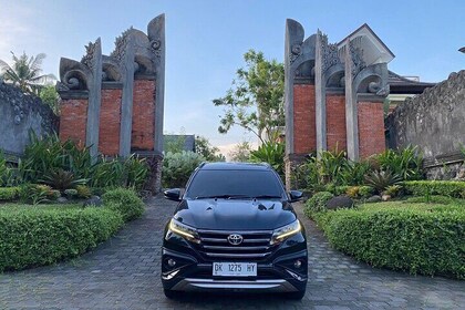 Bali: Private Car Tour with Driver as a Guide