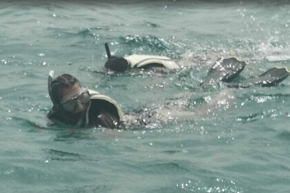 Primium Snorkeling Tour 3 Hours