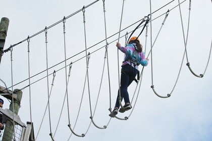 Basecamp Adventures: Aerial Ropes Course - Moundsville, WV