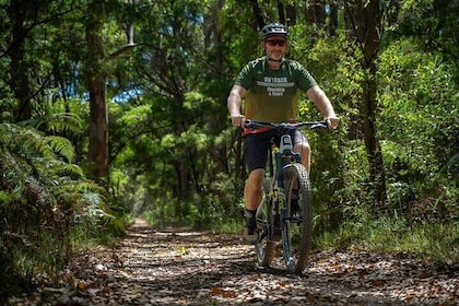 Half Day Wadandi Track Scenic E-Bike Tour