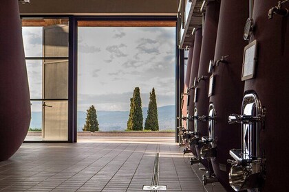 Private Wine Tasting Tour Experience in Perugia