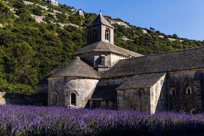 The Essence of Provence and Explore at Your Pace