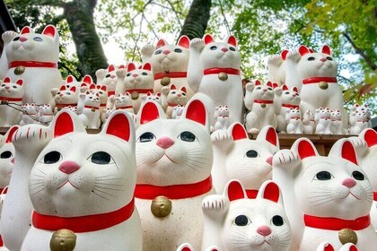 Lucky Cats Temple & Old Tokyo Yanaka 1/2-Day Walking Private Tour