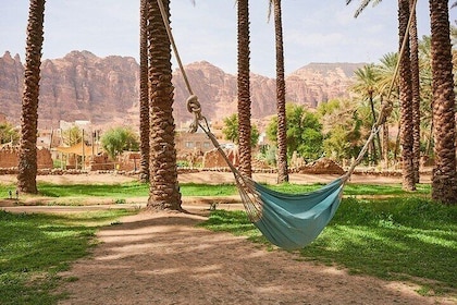 AlUla Oasis Heritage Trail Guided Walking Tour
