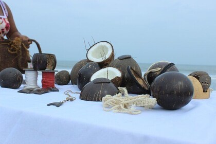 Coconut Workshop Cartagena
