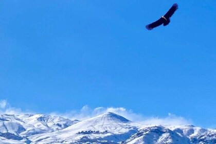 Andes Mountains Tour From Santiago with Appetizer