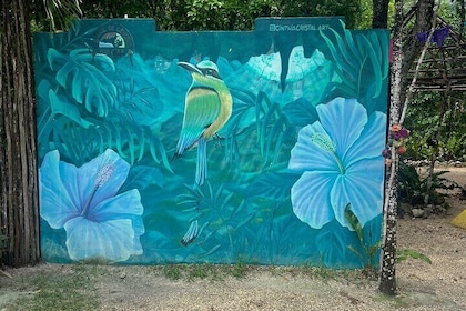 Private Tour to 4 Cenotes