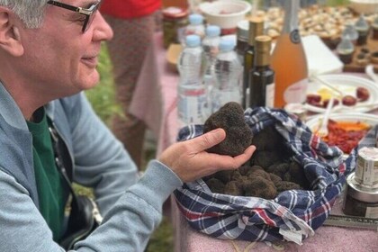 Truffle hunting with tasting in the woods