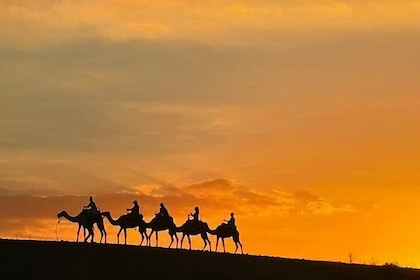 Marrakech Agafay Camel ride,Dinner , Fire Show