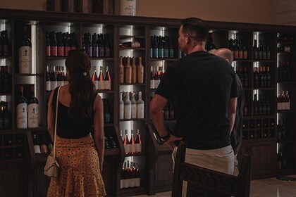 Wine Tour & Tasting Premium at Tenute Girolamo