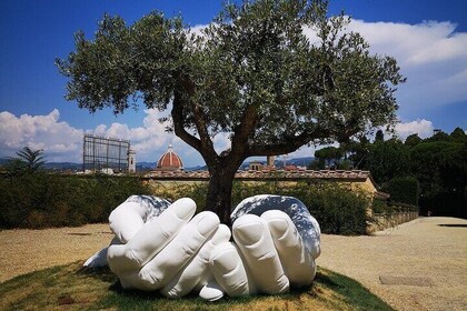 Private 3.5hr Walking Tour of Palazzo Pitti and Boboli Gardens