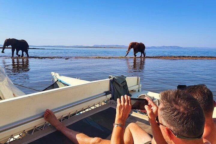 Sail with Elephants ... does what it says on the box!