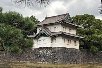 Tokyo: Imperial Palace and Edo Castle Ruins Cultural Walking Tour