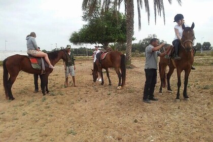 2-Hour Horse Riding Adventure with Delicious Lunch – Agadir