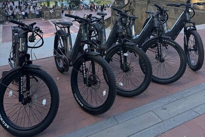 Guided Electric Bike Tour of Central Park in New York City