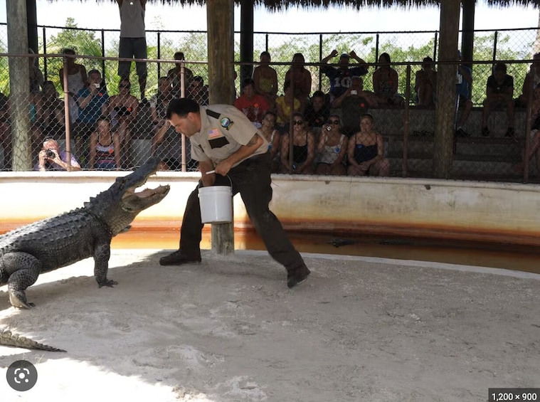 Everglades Airboat Tours and Transportation