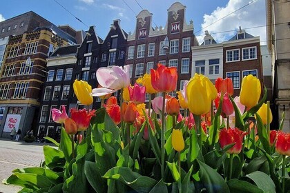Amsterdam Self Guided Walking Route of Highlights and Hidden Gems