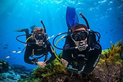 Explore Jounieh: Scuba Diving in Lebanon
