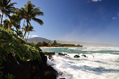 Private 5-hr Off-Road Trip on Oahu’s Wildlife-Rich North Shore