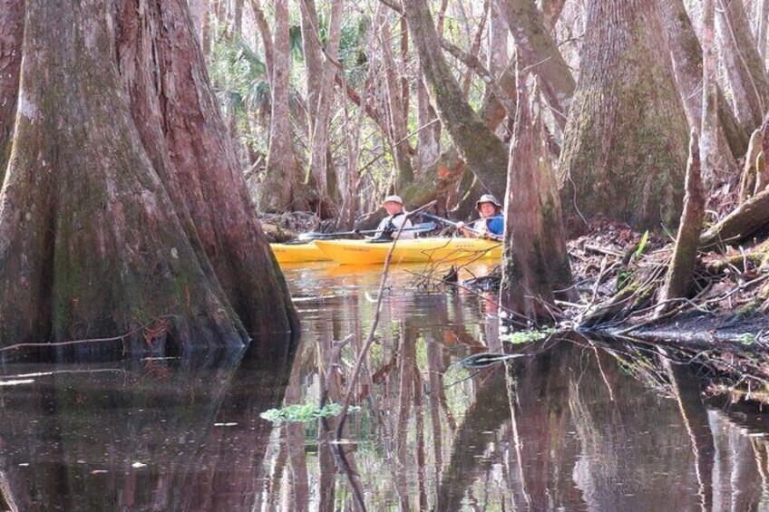 The Blackwater Creek Kayak Adventure
