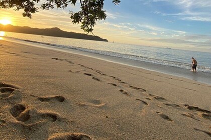 Private Day Tour from San Jose to Manuel Antonio National Park