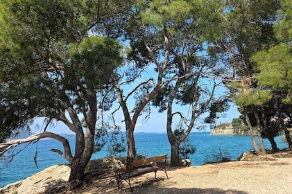 Eco Tuk Tuk and Beer Tasting