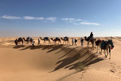 Overnight Camel Trek and Camp Stay in the Sahara
