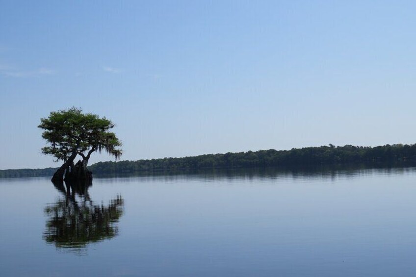 5 Hours Lake Norris Kayak Activity with Lunch