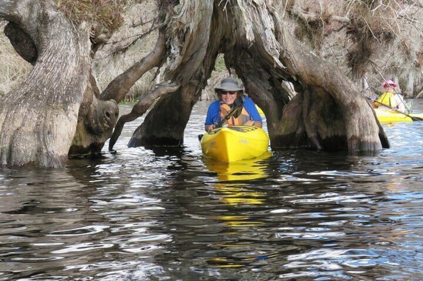 5 Hours Lake Norris Kayak Activity with Lunch