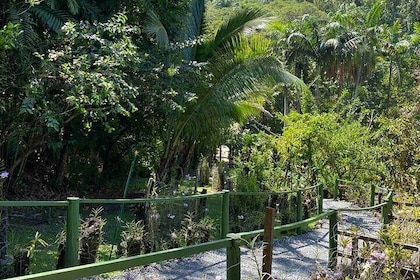 Half Day Tour in Nadi